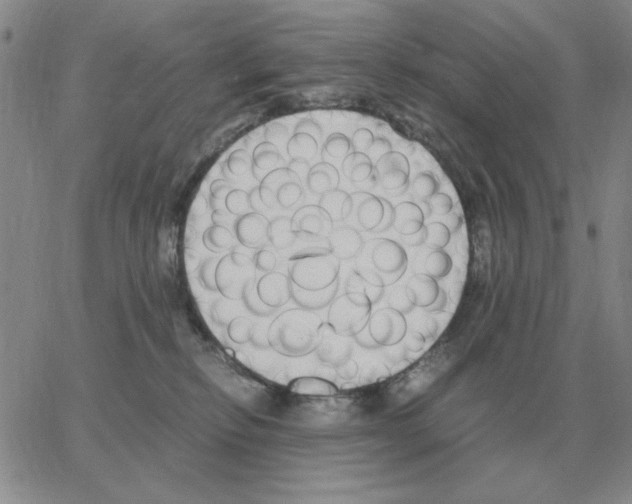 X0000064770278200603131441