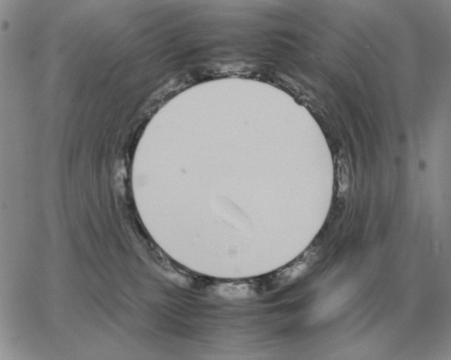 X0000064770279200603131441