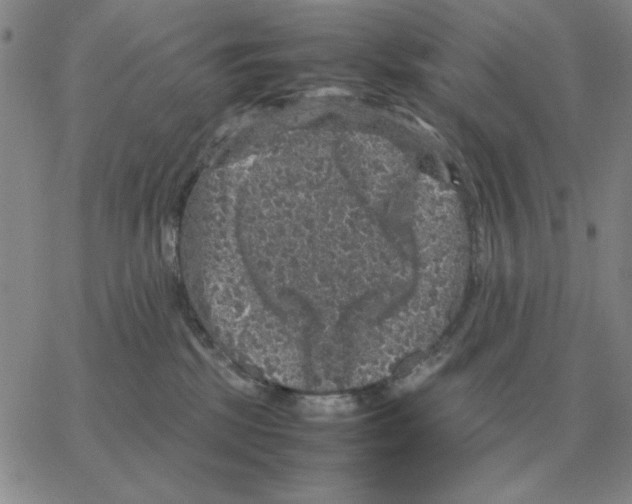 X0000064770281200603131441