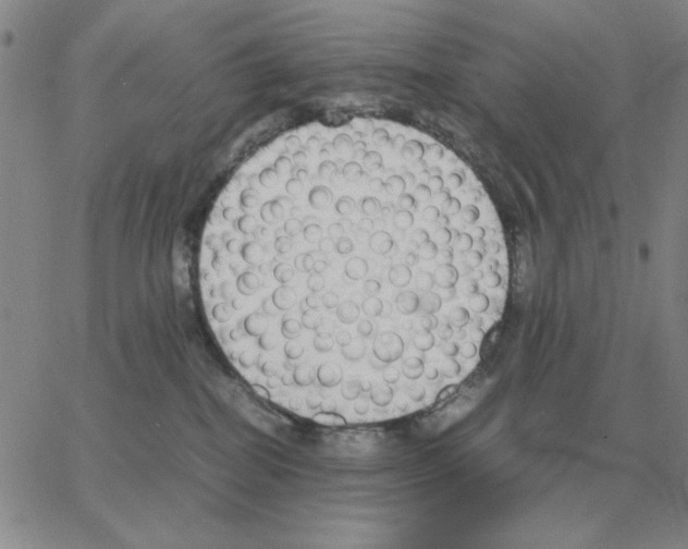 X0000064770282200603131441