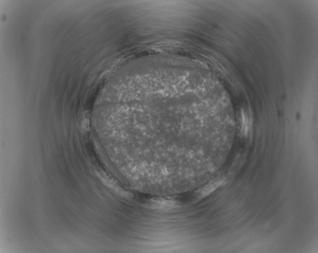 X0000064770284200603131441