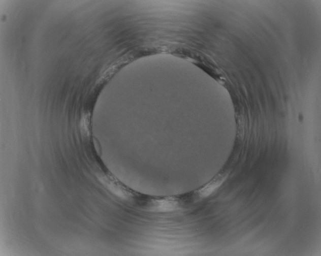 X0000064770286200603131441