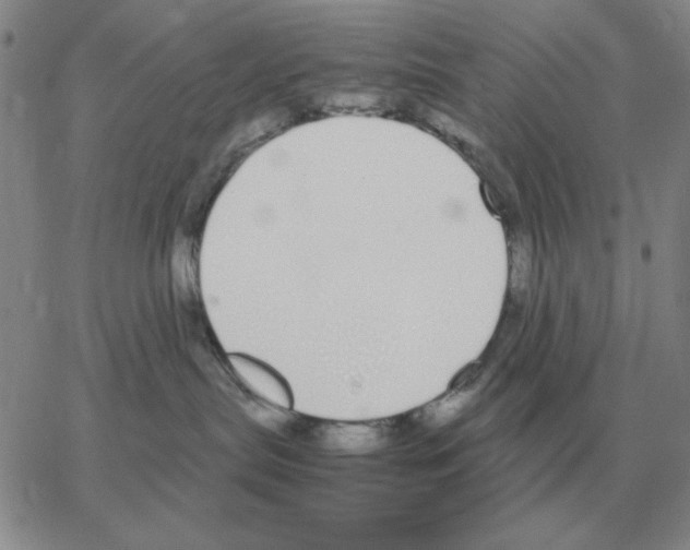 X0000064770287200603131441