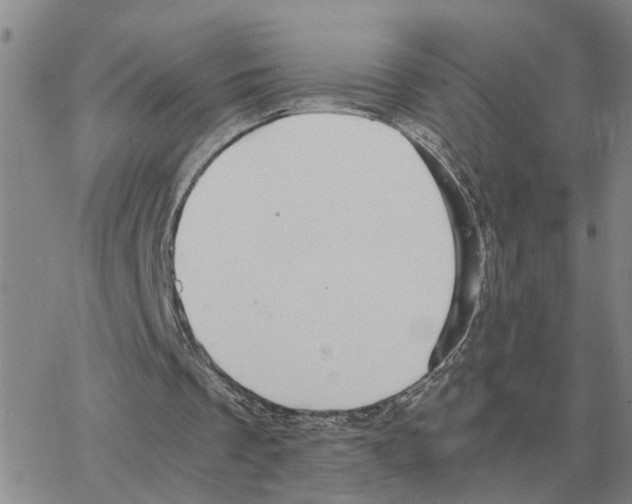 X0000064770289200603131441