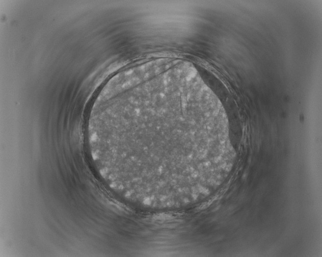 X0000064770290200603131441