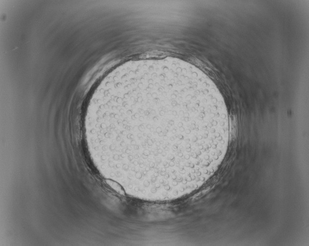 X0000064770291200603131441