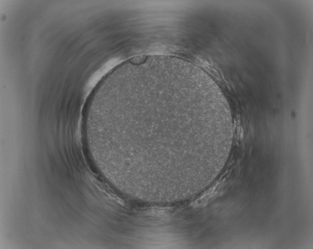 X0000064770292200603131441