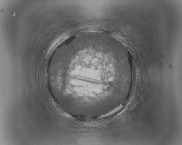 X0000064770293200603131441