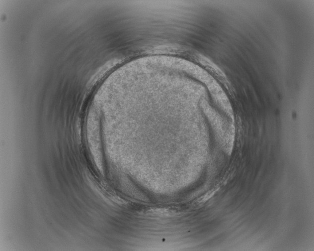 X0000064770298200603131440