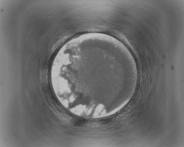 X0000064770299200603131440