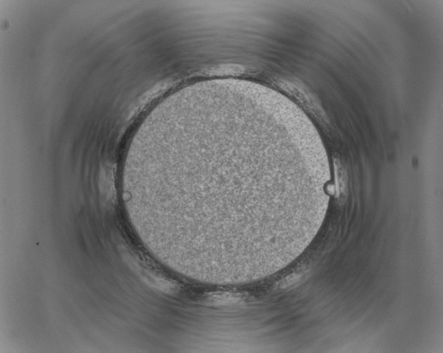 X0000064770300200603131440