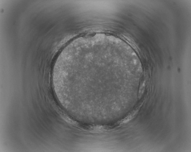 X0000064770301200603131440