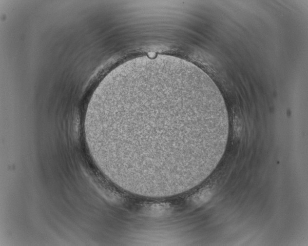 X0000064770304200603131440