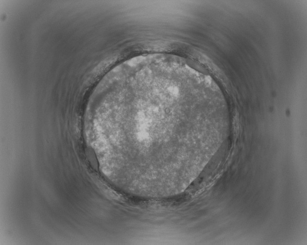 X0000064770305200603131440