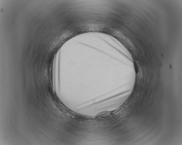 X0000064770306200603131440