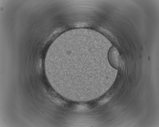 X0000064770308200603131440