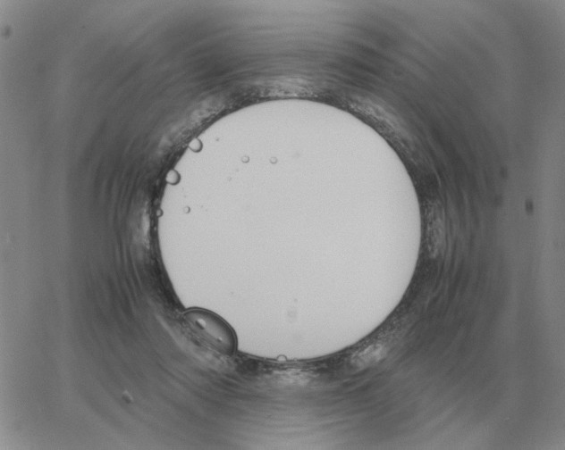 X0000064770310200603131440