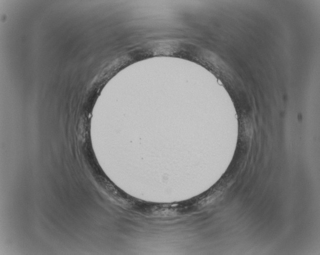 X0000064770311200603131440