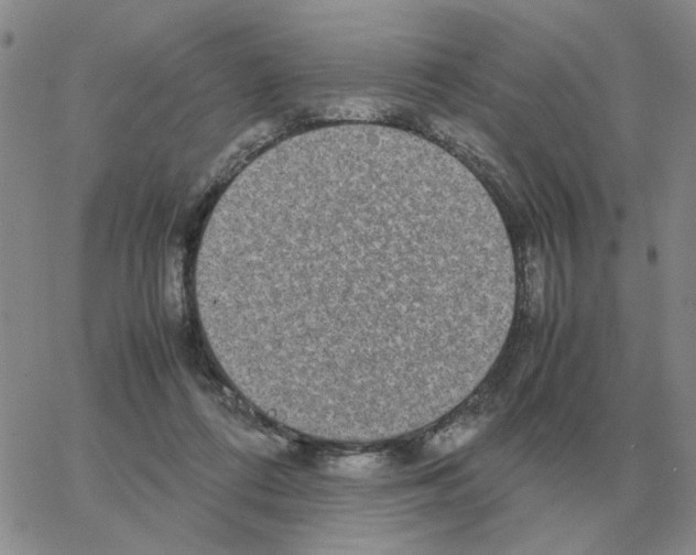 X0000064770312200603131440