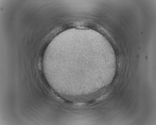 X0000064770313200603131440