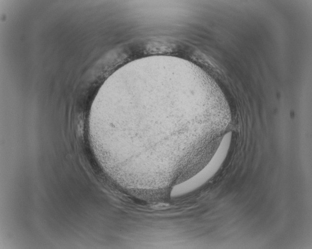 X0000064770315200603131440