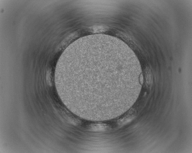 X0000064770316200603131440