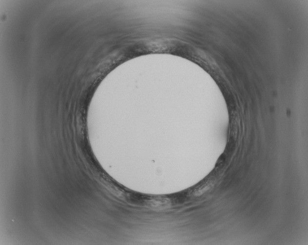 X0000064770317200603131440