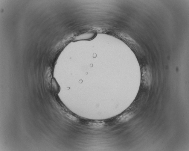 X0000064770318200603131440