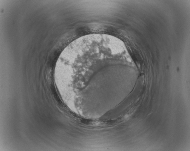 X0000064770319200603131440