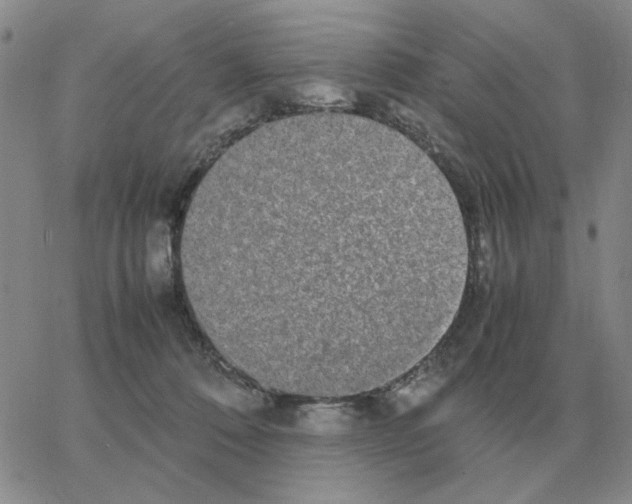 X0000064770320200603131440