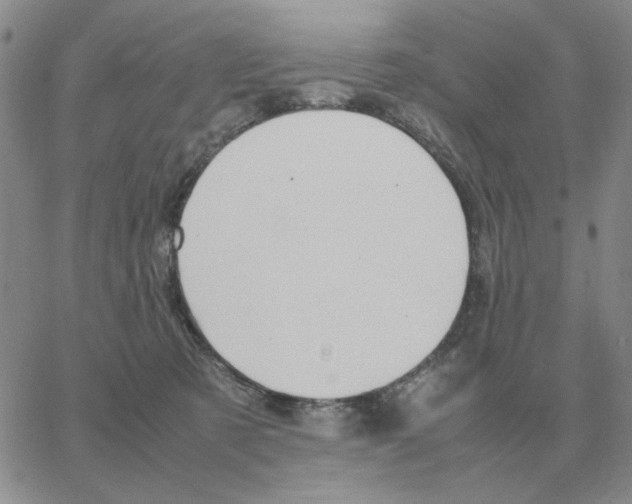 X0000064770321200603131440