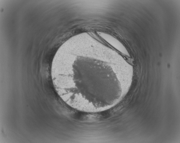 X0000064770323200603131440