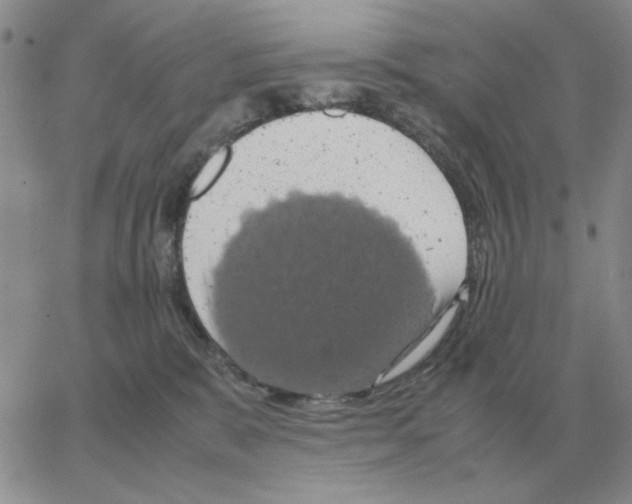 X0000064770327200603131440