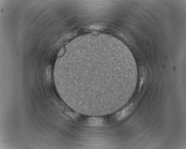 X0000064770328200603131440