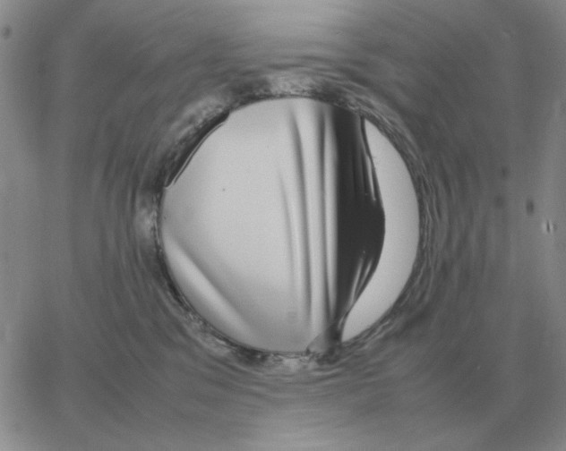 X0000064770329200603131440