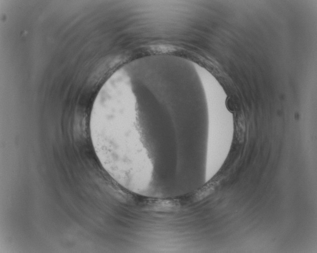 X0000064770330200603131440