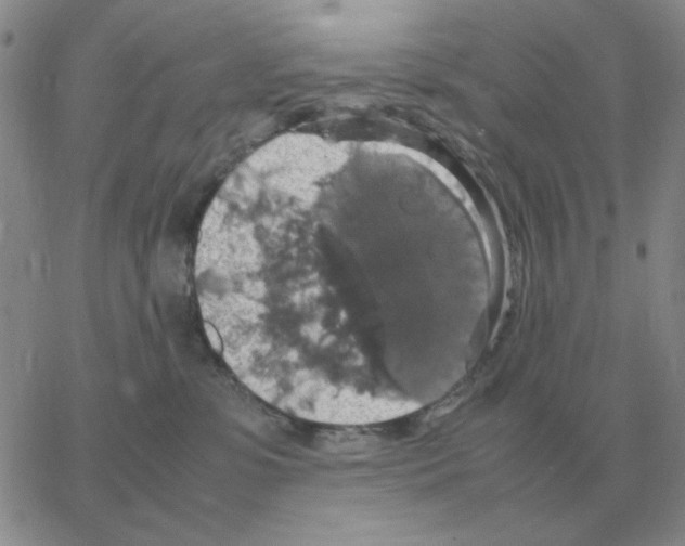 X0000064770331200603131440