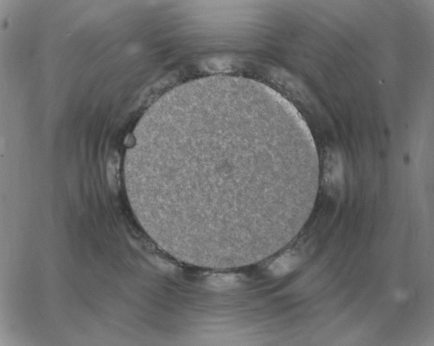 X0000064770332200603131440