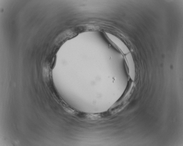 X0000064770333200603131440