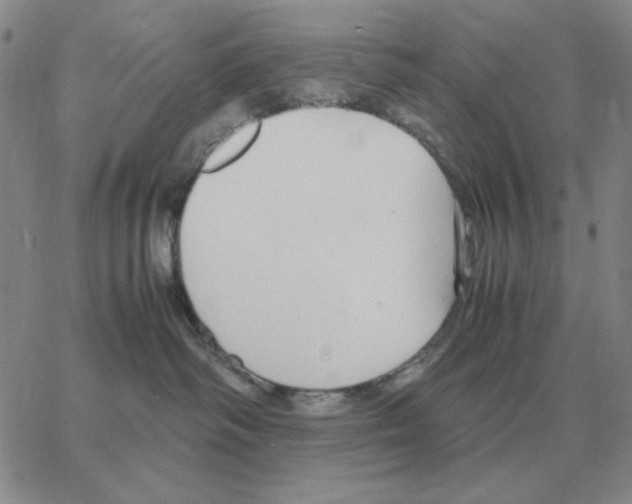 X0000064770334200603131440