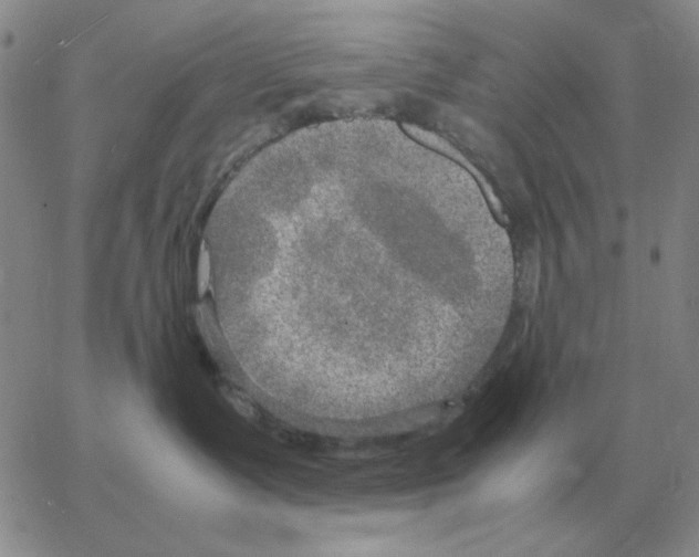 X0000064770335200603131440