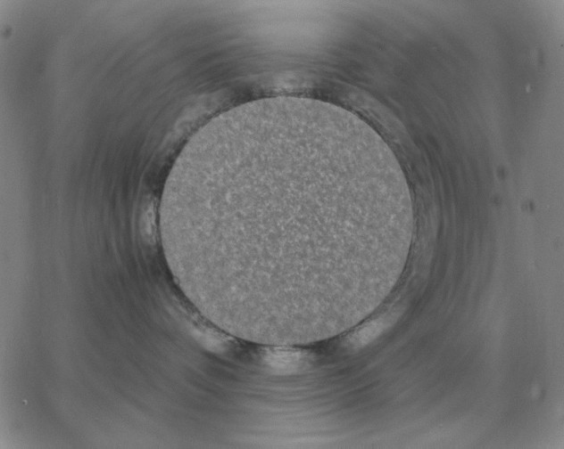 X0000064770336200603131440