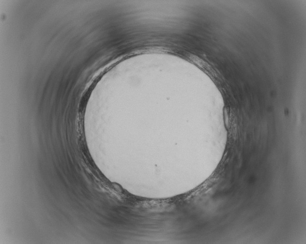 X0000064770338200603131439