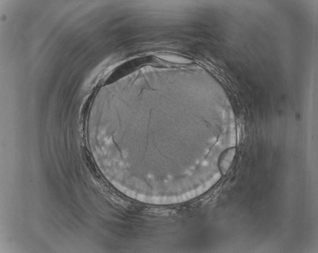 X0000064770339200603131439