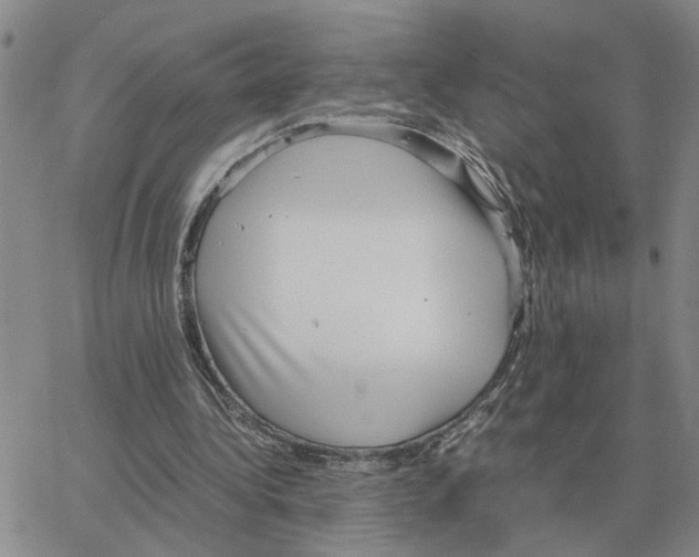 X0000064770340200603131439