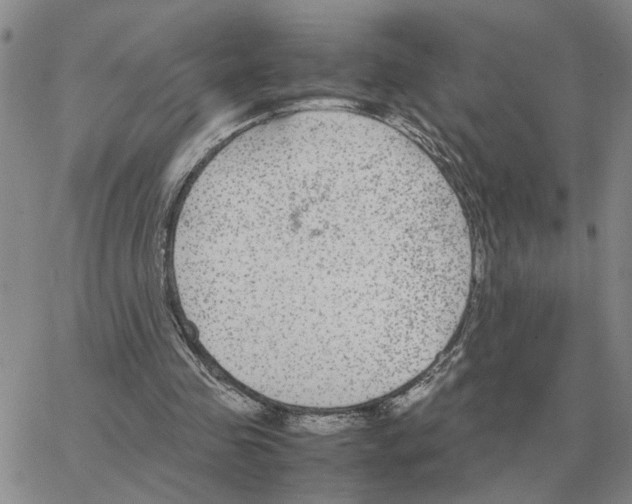 X0000064770341200603131439