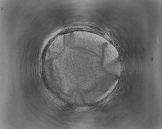 X0000064770342200603131439