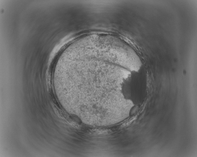 X0000064770343200603131439