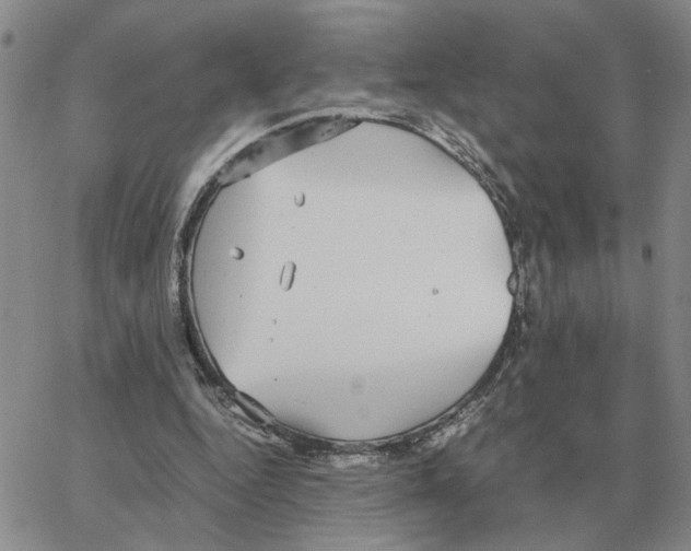 X0000064770344200603131439