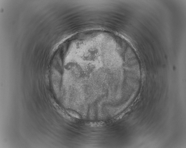 X0000064770345200603131439